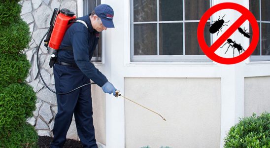 Beypazarı Karınca İlaçlama böcek ilaçlama ve haşere kontrolü — ilaclama-tr.com